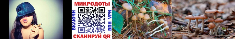 Галлюциногенные грибы MAGIC MUSHROOMS Мезень